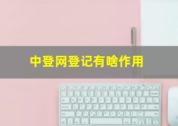 中登网登记有啥作用