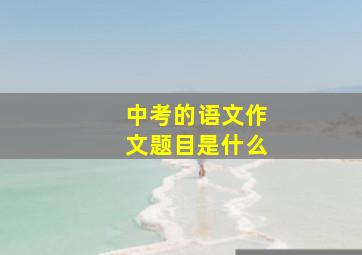 中考的语文作文题目是什么