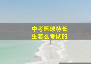 中考篮球特长生怎么考试的