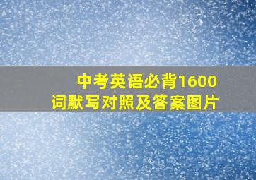 中考英语必背1600词默写对照及答案图片