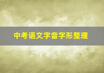 中考语文字音字形整理