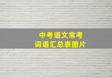 中考语文常考词语汇总表图片