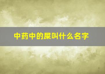 中药中的屎叫什么名字