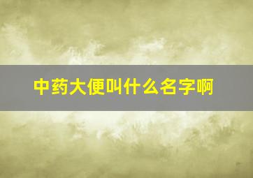 中药大便叫什么名字啊