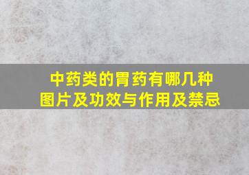 中药类的胃药有哪几种图片及功效与作用及禁忌