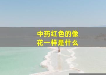 中药红色的像花一样是什么