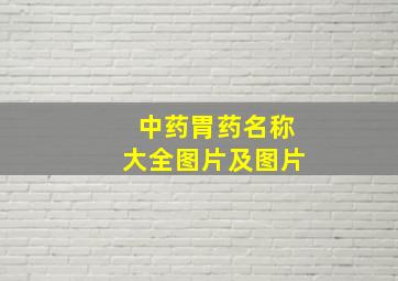 中药胃药名称大全图片及图片