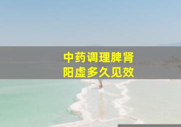 中药调理脾肾阳虚多久见效