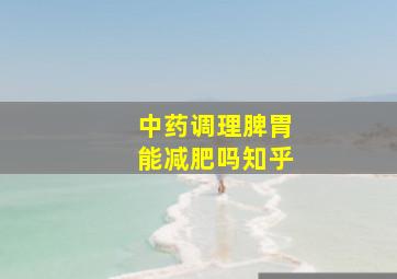 中药调理脾胃能减肥吗知乎