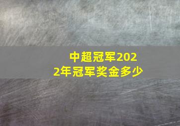 中超冠军2022年冠军奖金多少