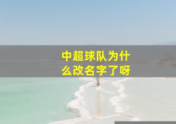 中超球队为什么改名字了呀