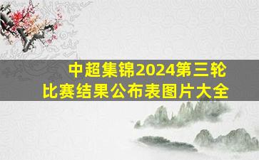 中超集锦2024第三轮比赛结果公布表图片大全