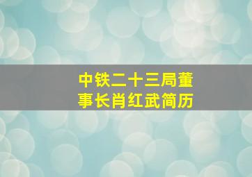 中铁二十三局董事长肖红武简历