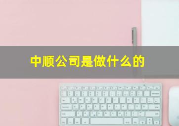 中顺公司是做什么的