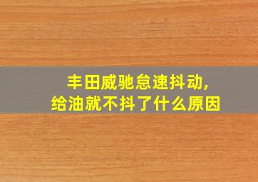 丰田威驰怠速抖动,给油就不抖了什么原因