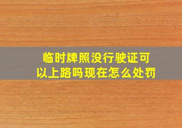 临时牌照没行驶证可以上路吗现在怎么处罚