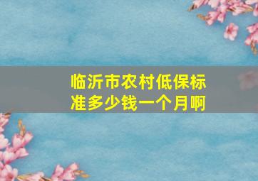 临沂市农村低保标准多少钱一个月啊