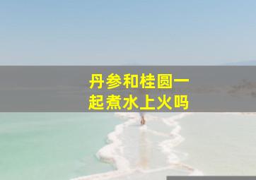 丹参和桂圆一起煮水上火吗