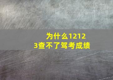 为什么12123查不了驾考成绩