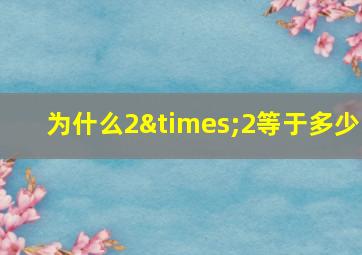 为什么2×2等于多少