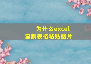 为什么excel复制表格粘贴图片