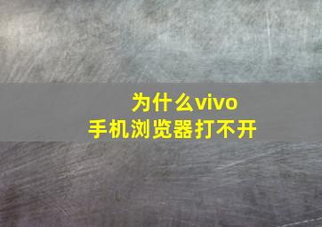 为什么vivo手机浏览器打不开