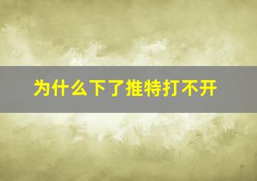 为什么下了推特打不开