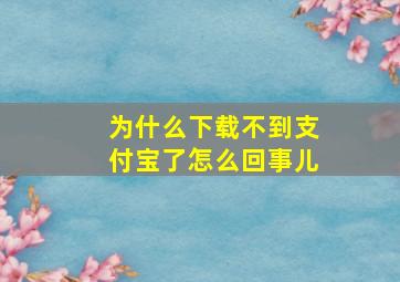 为什么下载不到支付宝了怎么回事儿