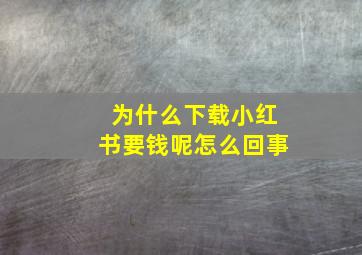 为什么下载小红书要钱呢怎么回事