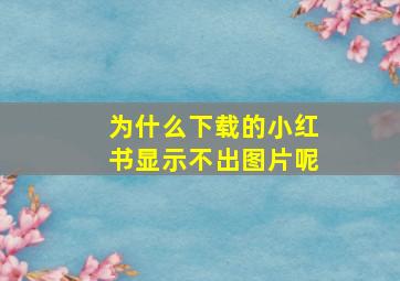 为什么下载的小红书显示不出图片呢