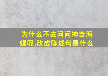 为什么不去问问神奇海螺呢,改成陈述句是什么