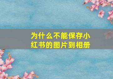 为什么不能保存小红书的图片到相册