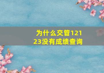 为什么交管12123没有成绩查询