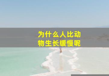 为什么人比动物生长缓慢呢