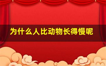 为什么人比动物长得慢呢