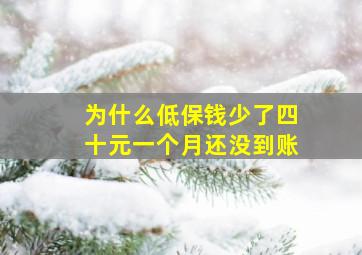 为什么低保钱少了四十元一个月还没到账