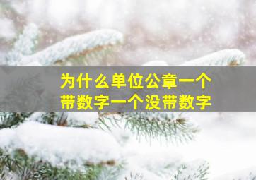 为什么单位公章一个带数字一个没带数字