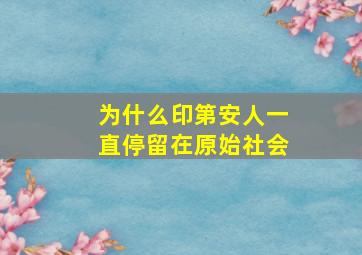 为什么印第安人一直停留在原始社会