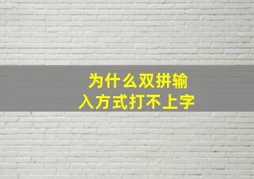 为什么双拼输入方式打不上字