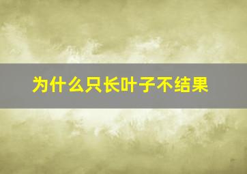 为什么只长叶子不结果