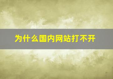 为什么国内网站打不开