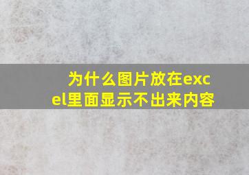 为什么图片放在excel里面显示不出来内容