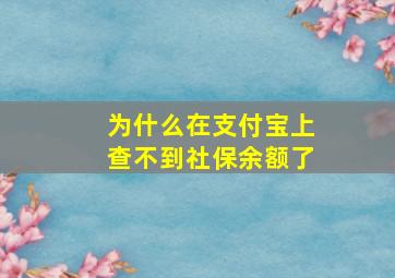 为什么在支付宝上查不到社保余额了