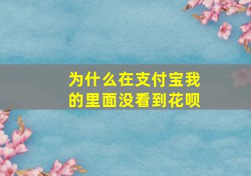 为什么在支付宝我的里面没看到花呗