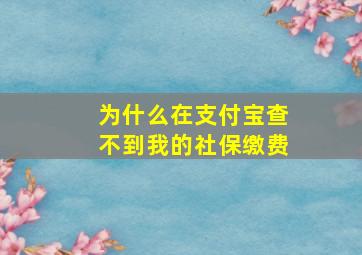 为什么在支付宝查不到我的社保缴费