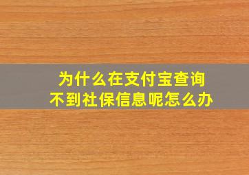 为什么在支付宝查询不到社保信息呢怎么办