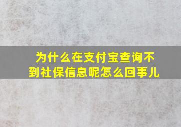 为什么在支付宝查询不到社保信息呢怎么回事儿