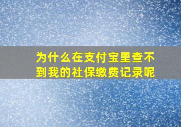 为什么在支付宝里查不到我的社保缴费记录呢