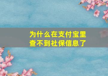 为什么在支付宝里查不到社保信息了