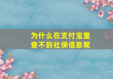 为什么在支付宝里查不到社保信息呢